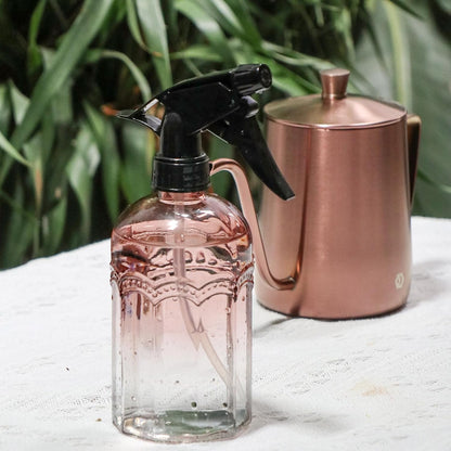 Watering Can for Indoor Plants Long Spout Metal Stainless Steel 21 oz Small Watering Can with 14 oz Glass Plant Mister Spray Bottle for Plants Bonsai