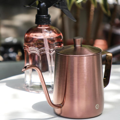 Watering Can for Indoor Plants Long Spout Metal Stainless Steel 21 oz Small Watering Can with 14 oz Glass Plant Mister Spray Bottle for Plants Bonsai