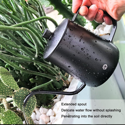 Watering Can for Indoor Plants Long Spout Metal Stainless Steel 21 oz Small Watering Can with 14 oz Glass Plant Mister Spray Bottle for Plants Bonsai