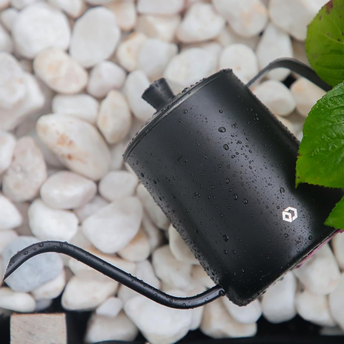 Watering Can for Indoor Plants Long Spout Metal Stainless Steel 21 oz Small Watering Can with 14 oz Glass Plant Mister Spray Bottle for Plants Bonsai