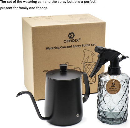 Watering Can for Indoor Plants Long Spout Metal Stainless Steel 21 oz Small Watering Can with 14 oz Glass Plant Mister Spray Bottle for Plants Bonsai