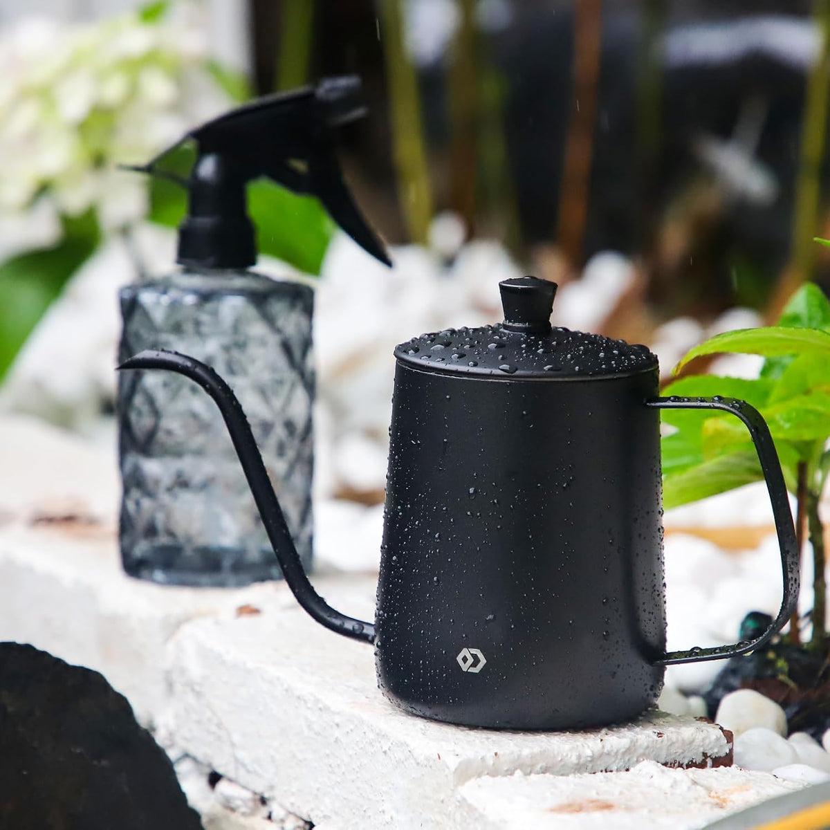 Watering Can for Indoor Plants Long Spout Metal Stainless Steel 21 oz Small Watering Can with 14 oz Glass Plant Mister Spray Bottle for Plants Bonsai
