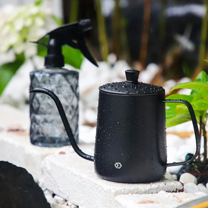 Watering Can for Indoor Plants Long Spout Metal Stainless Steel 21 oz Small Watering Can with 14 oz Glass Plant Mister Spray Bottle for Plants Bonsai