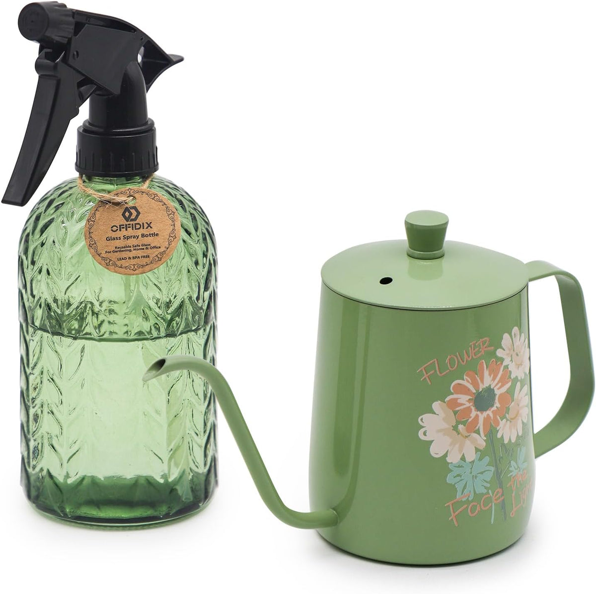 Watering Can for Indoor Plants Long Spout Metal Stainless Steel 21 oz Small Watering Can with 14 oz Glass Plant Mister Spray Bottle for Plants Bonsai