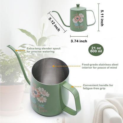 Watering Can for Indoor Plants Long Spout Metal Stainless Steel 21 oz Small Watering Can with 14 oz Glass Plant Mister Spray Bottle for Plants Bonsai