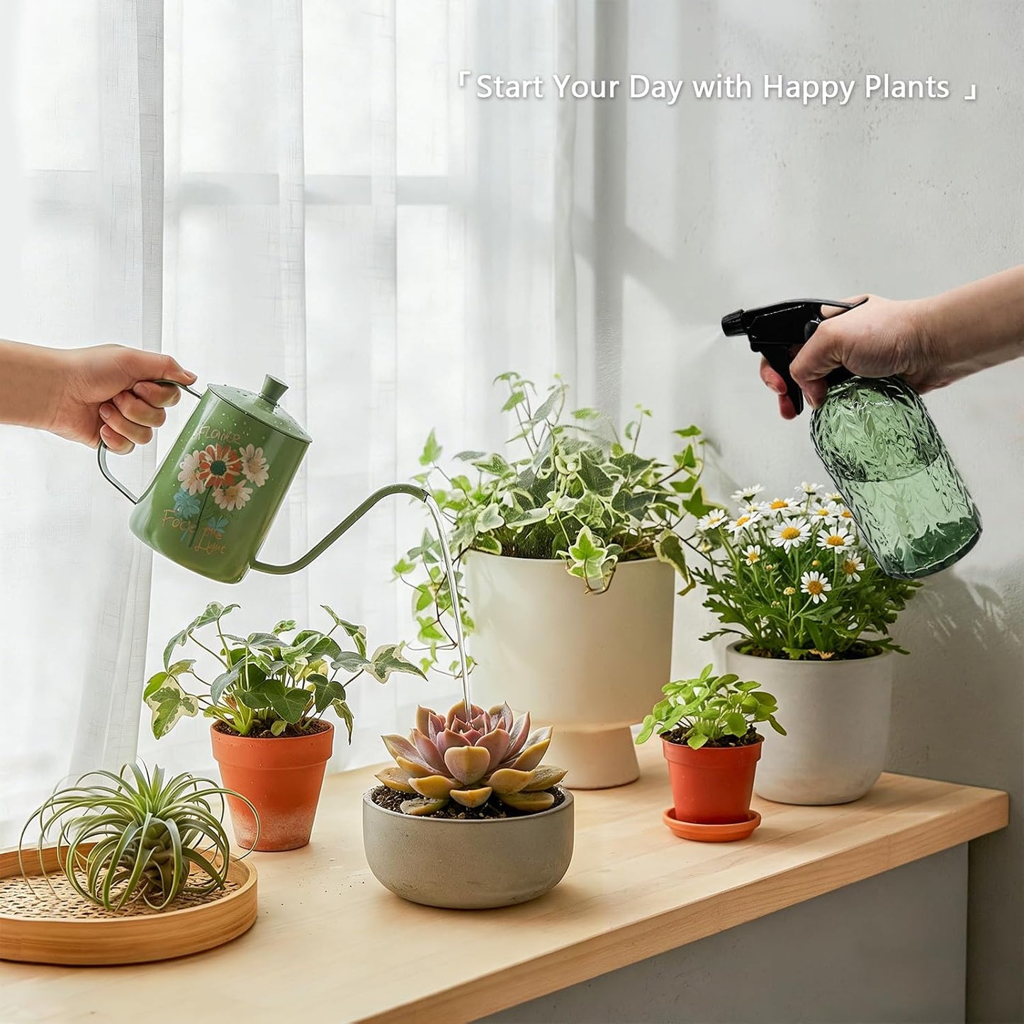 Watering Can for Indoor Plants Long Spout Metal Stainless Steel 21 oz Small Watering Can with 14 oz Glass Plant Mister Spray Bottle for Plants Bonsai