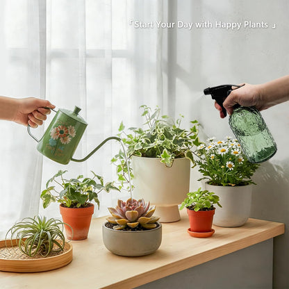 Watering Can for Indoor Plants Long Spout Metal Stainless Steel 21 oz Small Watering Can with 14 oz Glass Plant Mister Spray Bottle for Plants Bonsai