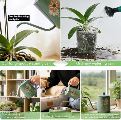 Watering Can for Indoor Plants Long Spout Metal Stainless Steel 21 oz Small Watering Can with 14 oz Glass Plant Mister Spray Bottle for Plants Bonsai