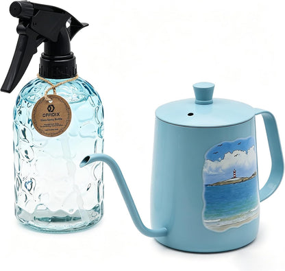 Watering Can for Indoor Plants Long Spout Metal Stainless Steel 21 oz Small Watering Can with 14 oz Glass Plant Mister Spray Bottle for Plants Bonsai