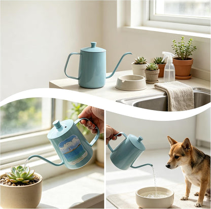 Watering Can for Indoor Plants Long Spout Metal Stainless Steel 21 oz Small Watering Can with 14 oz Glass Plant Mister Spray Bottle for Plants Bonsai