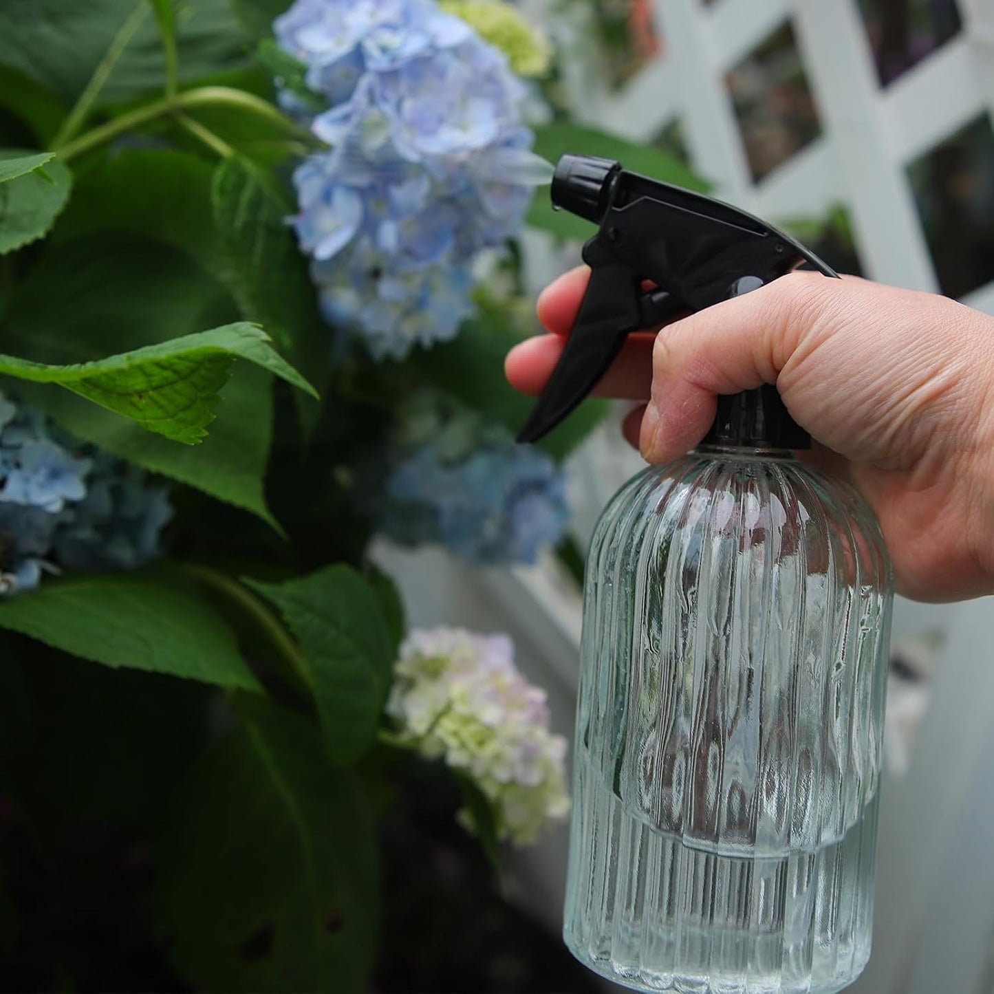 Watering Can for Indoor Plants Long Spout Metal Stainless Steel 21 oz Small Watering Can with 14 oz Glass Plant Mister Spray Bottle for Plants Bonsai