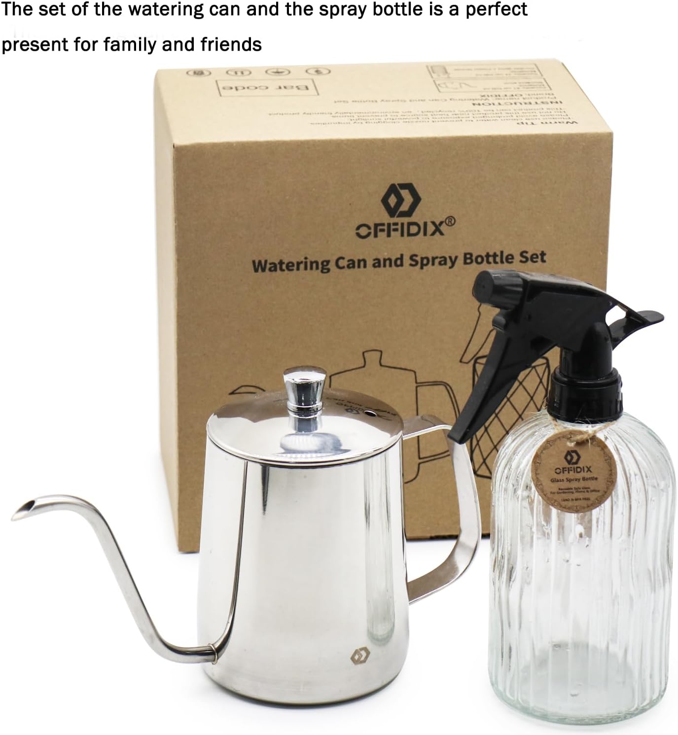 Watering Can for Indoor Plants Long Spout Metal Stainless Steel 21 oz Small Watering Can with 14 oz Glass Plant Mister Spray Bottle for Plants Bonsai