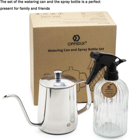 Watering Can for Indoor Plants Long Spout Metal Stainless Steel 21 oz Small Watering Can with 14 oz Glass Plant Mister Spray Bottle for Plants Bonsai
