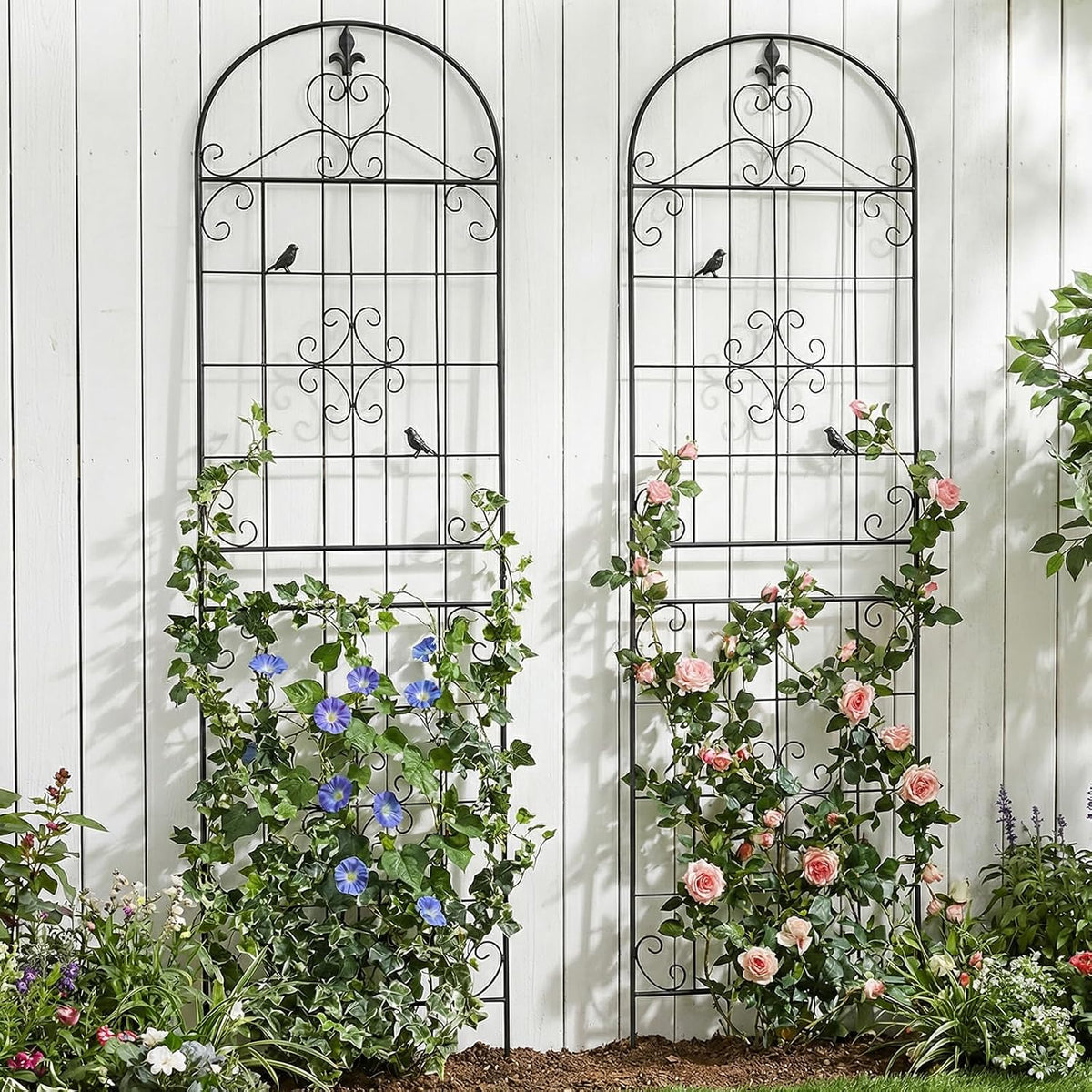 70.8" Black Metal Garden Trellis for Climbing Plants, 2 Pack