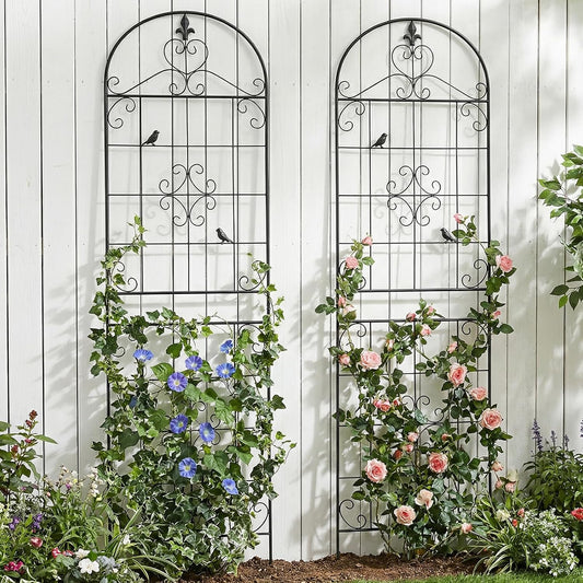 70.8" Black Metal Garden Trellis for Climbing Plants, 2 Pack