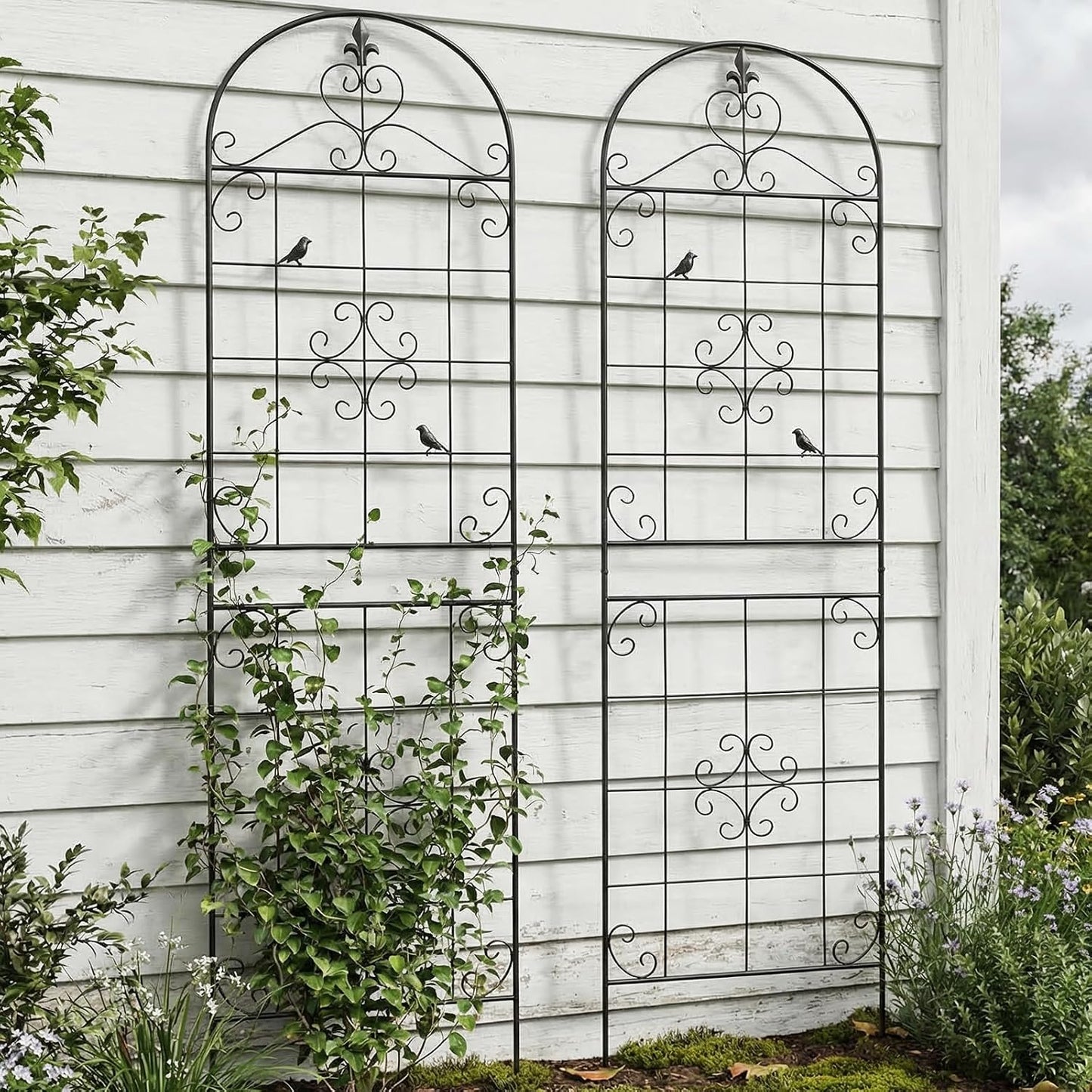 70.8" Black Metal Garden Trellis for Climbing Plants, 2 Pack