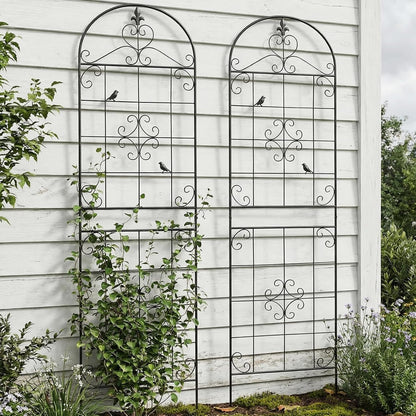 70.8" Black Metal Garden Trellis for Climbing Plants, 2 Pack