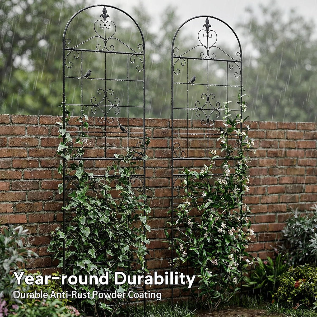 70.8" Black Metal Garden Trellis for Climbing Plants, 2 Pack