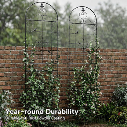 70.8" Black Metal Garden Trellis for Climbing Plants, 2 Pack