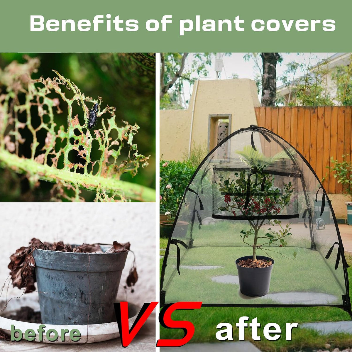 Plant Tent Cover Freeze Protection for Winter Plants Clear 36" x 36" x 38"