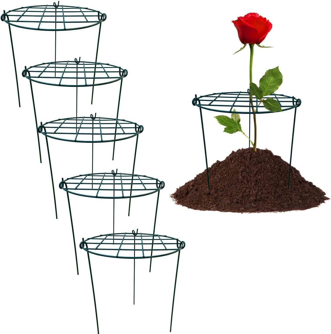 5 Pack 20 x 30 inch Poeny Cage Grow Through Grid Plant Brace Flower Support Rings, Round Metal Plant Stakes Rings, Strong Large Garden Supports for Flowers, Peonies, Rose, Lily