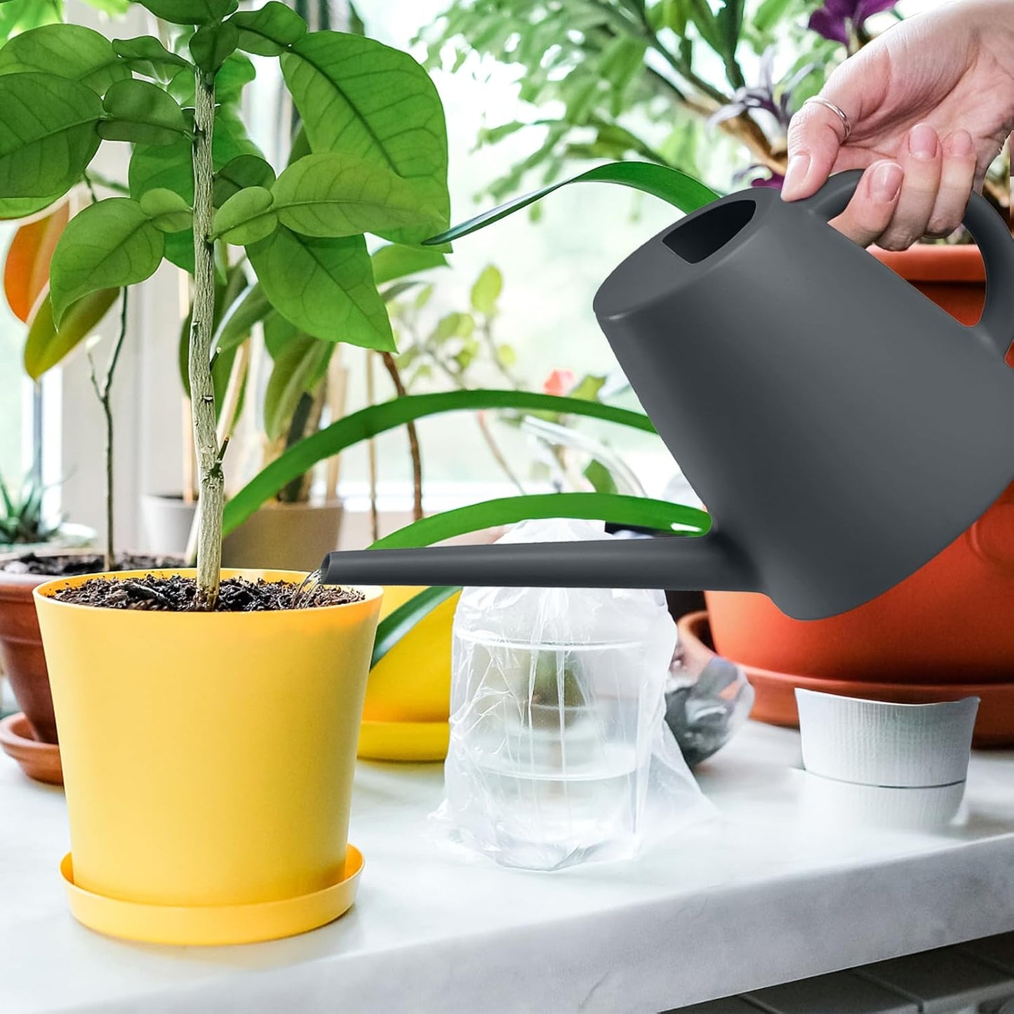 Indoor and Outdoor Watering Can - Long Spout -1/2 Gallon (64oz) - Black
