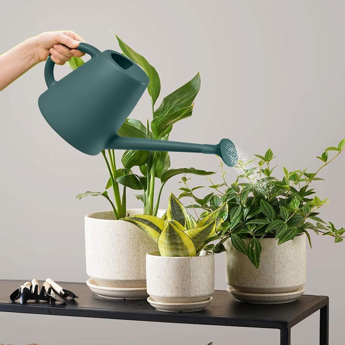 Indoor and Outdoor Watering Can - Long Spout -1/2 Gallon (64oz) - Black