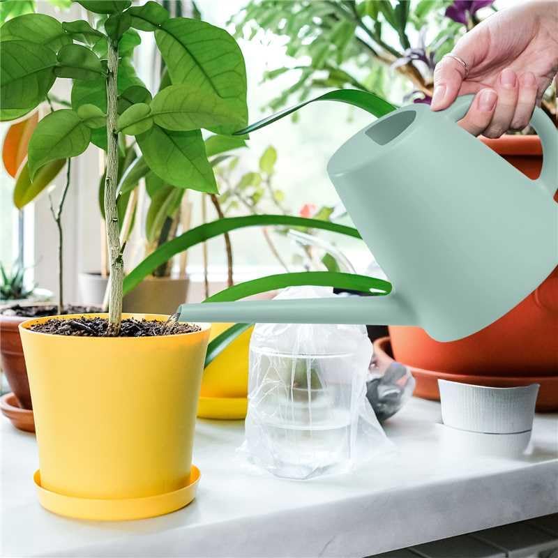 Indoor and Outdoor Watering Can - Long Spout -1/2 Gallon (64oz) - Black