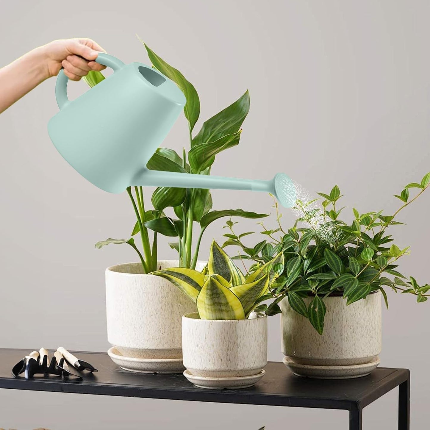 Indoor and Outdoor Watering Can - Long Spout -1/2 Gallon (64oz) - Black