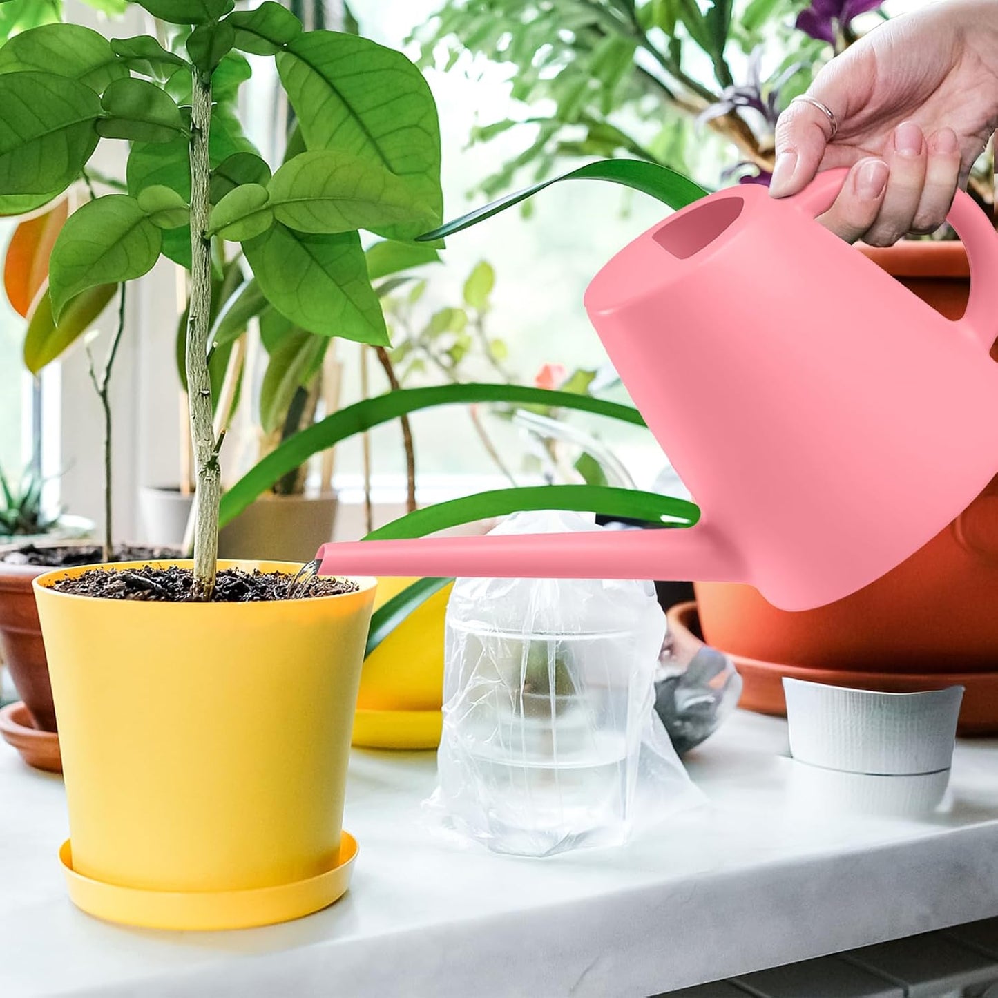 Indoor and Outdoor Watering Can - Long Spout -1/2 Gallon (64oz) - Black