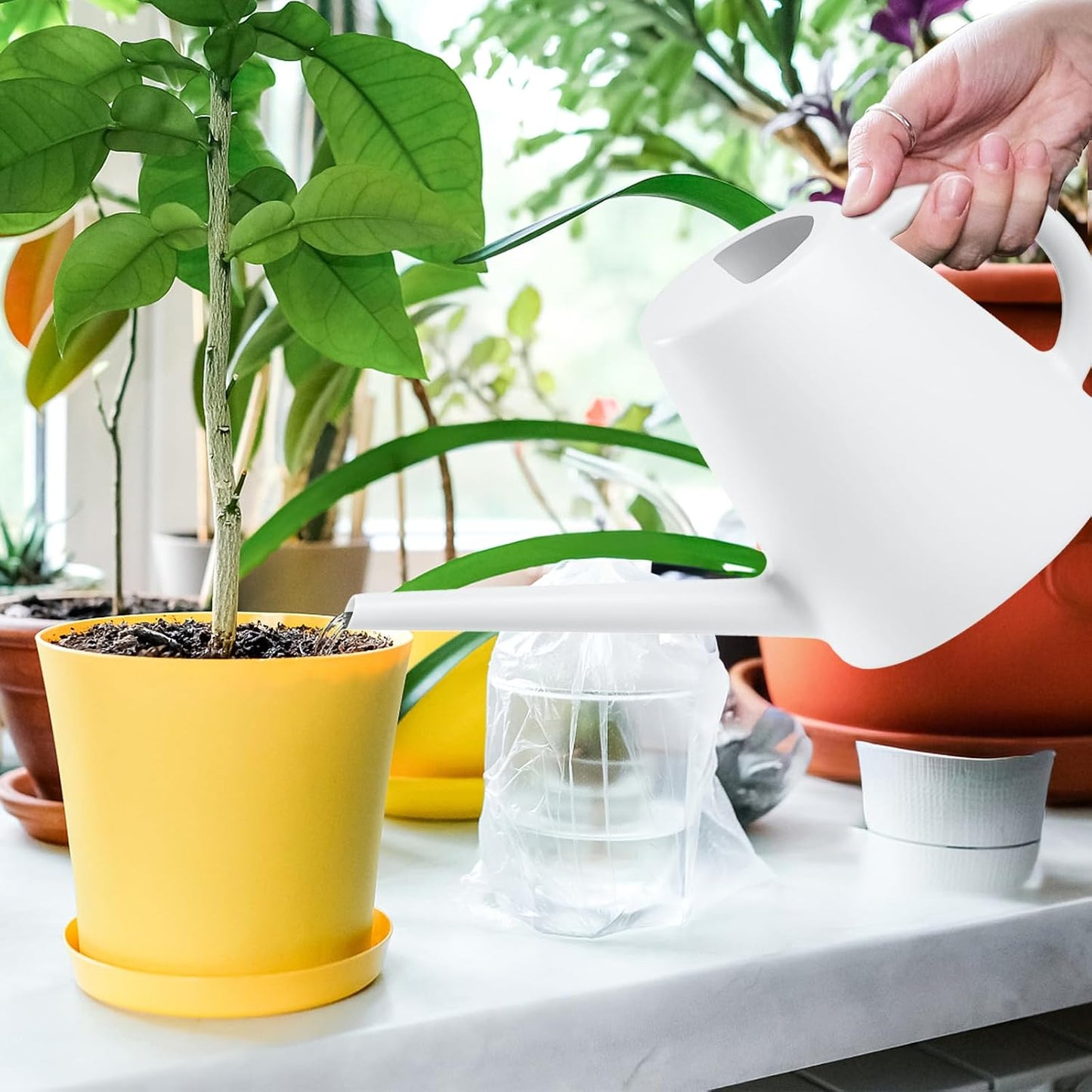 Indoor and Outdoor Watering Can - Long Spout -1/2 Gallon (64oz) - Black