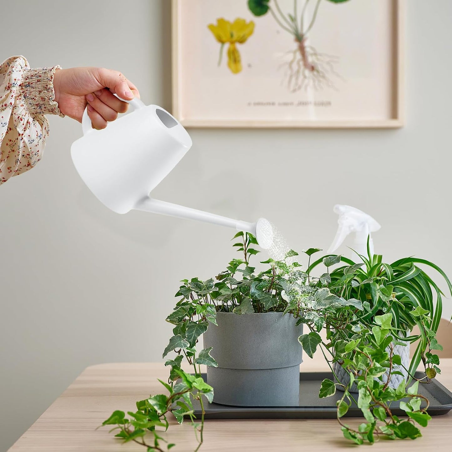 Indoor and Outdoor Watering Can - Long Spout -1/2 Gallon (64oz) - Black