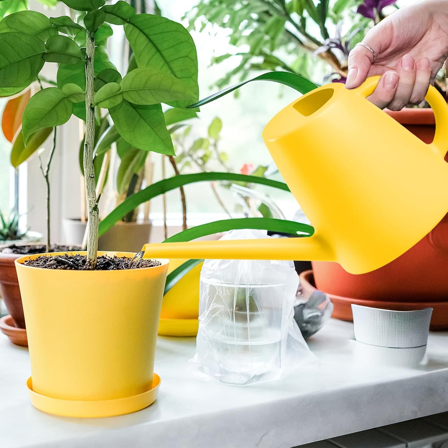 Indoor and Outdoor Watering Can - Long Spout -1/2 Gallon (64oz) - Black