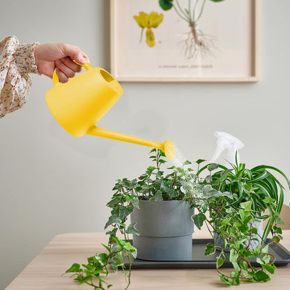 Indoor and Outdoor Watering Can - Long Spout -1/2 Gallon (64oz) - Black