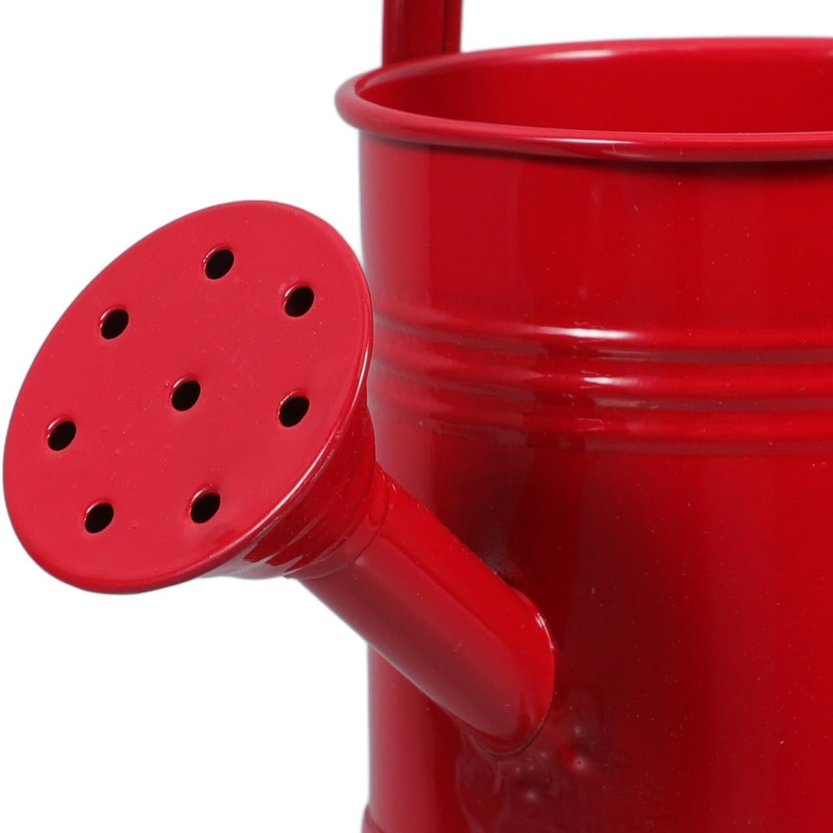 2Pcs Mini Metal Watering Can, Spout Plant Waterer for Garden Use