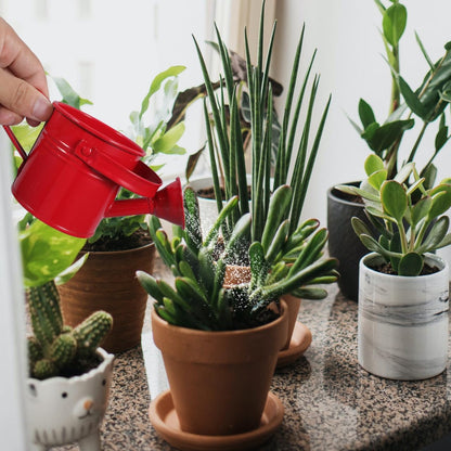 2Pcs Mini Metal Watering Can, Spout Plant Waterer for Garden Use