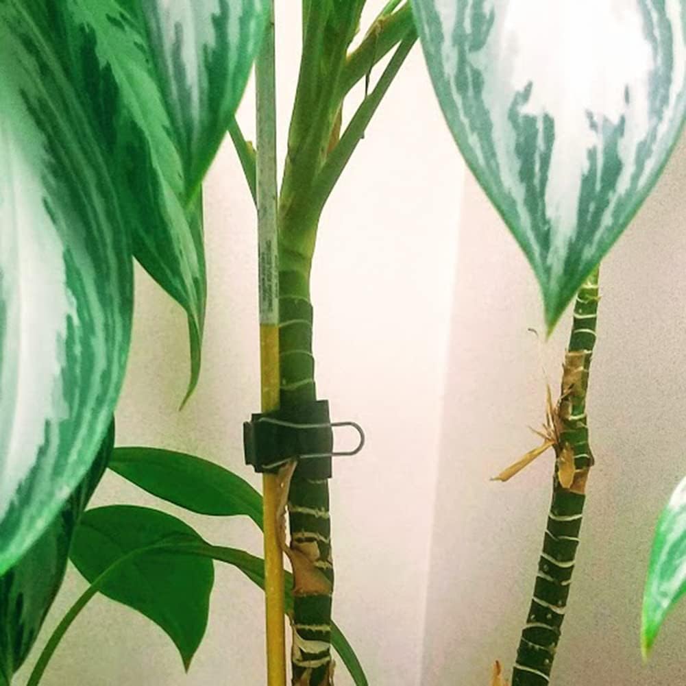 Reusable Greenhouse Clips Made in USA – Orchid Clips, Plant Support Clips & Cord Clips – Heavy-Duty, Weather-Resistant & Durable – Secure Stems, Vines, Wires, Cables, Tomato Plants – Indoor & Outdoor