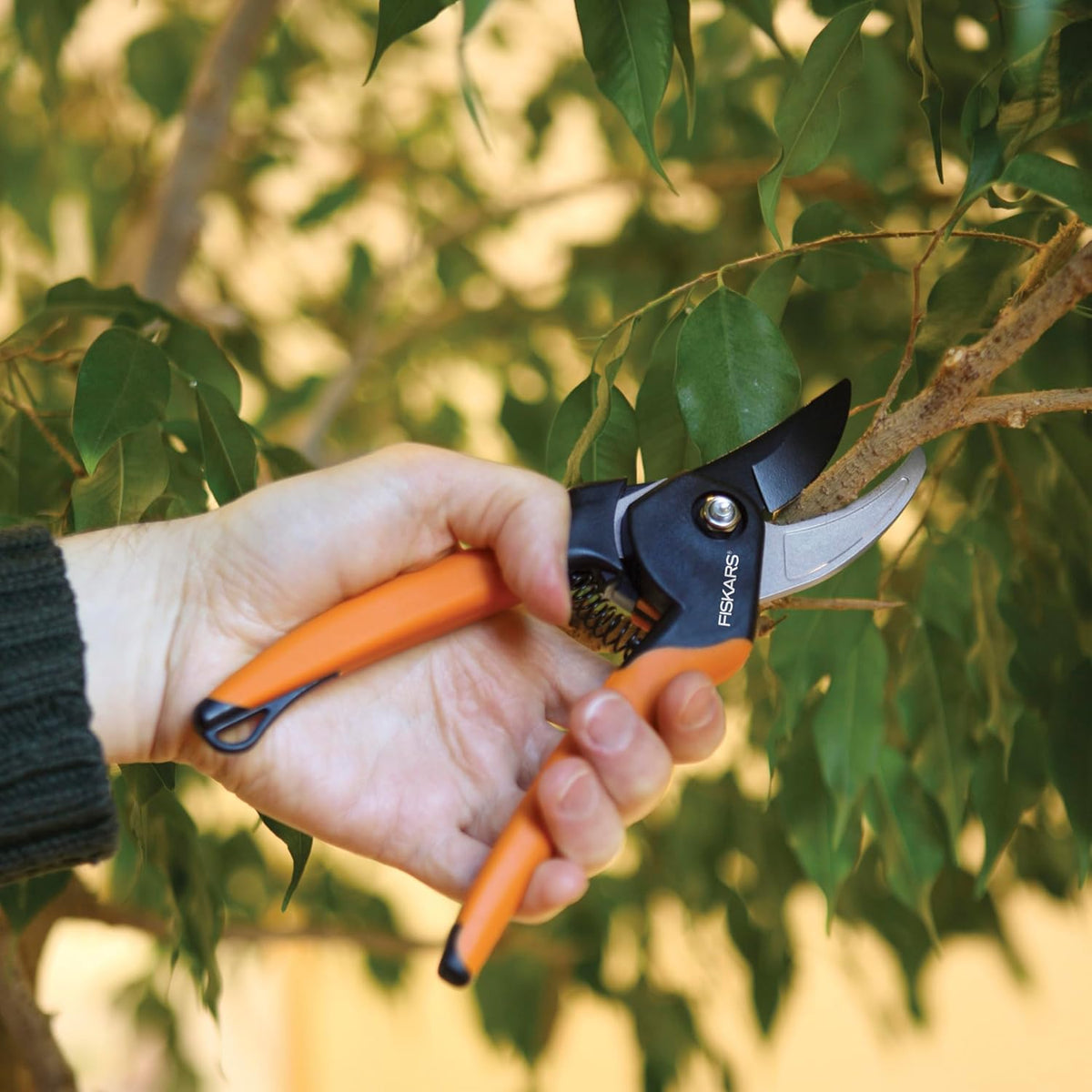 Bypass Pruning Shears, 5/8" Cut Capacity Garden Clippers