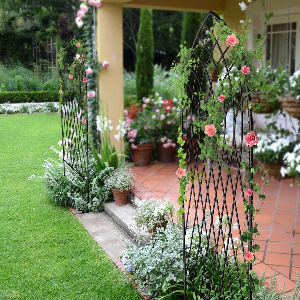 Amagabeli 2 Pack Large Garden Trellis for Climbing Plants 75” x 31” Heavy Duty Rustproof Black Iron Plant Trellis for Potted Plants Support Tall Wall Metal Trellis for Rose Vegetables Cucumber GT05