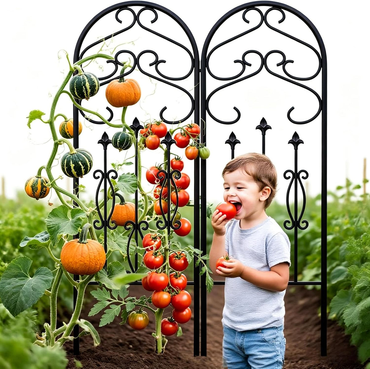 Amagabeli 2 Pack Large Garden Trellis for Climbing Plants 75” x 31” Heavy Duty Rustproof Black Iron Plant Trellis for Potted Plants Support Tall Wall Metal Trellis for Rose Vegetables Cucumber GT05