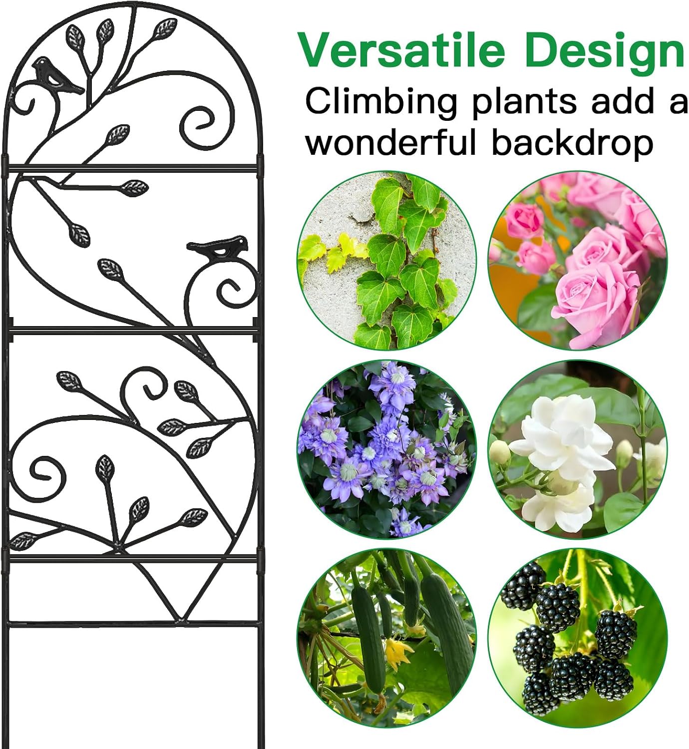 Amagabeli 2 Pack Large Garden Trellis for Climbing Plants 75” x 31” Heavy Duty Rustproof Black Iron Plant Trellis for Potted Plants Support Tall Wall Metal Trellis for Rose Vegetables Cucumber GT05