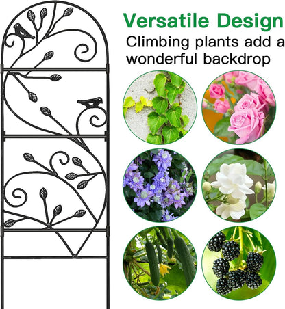 Amagabeli 2 Pack Large Garden Trellis for Climbing Plants 75” x 31” Heavy Duty Rustproof Black Iron Plant Trellis for Potted Plants Support Tall Wall Metal Trellis for Rose Vegetables Cucumber GT05