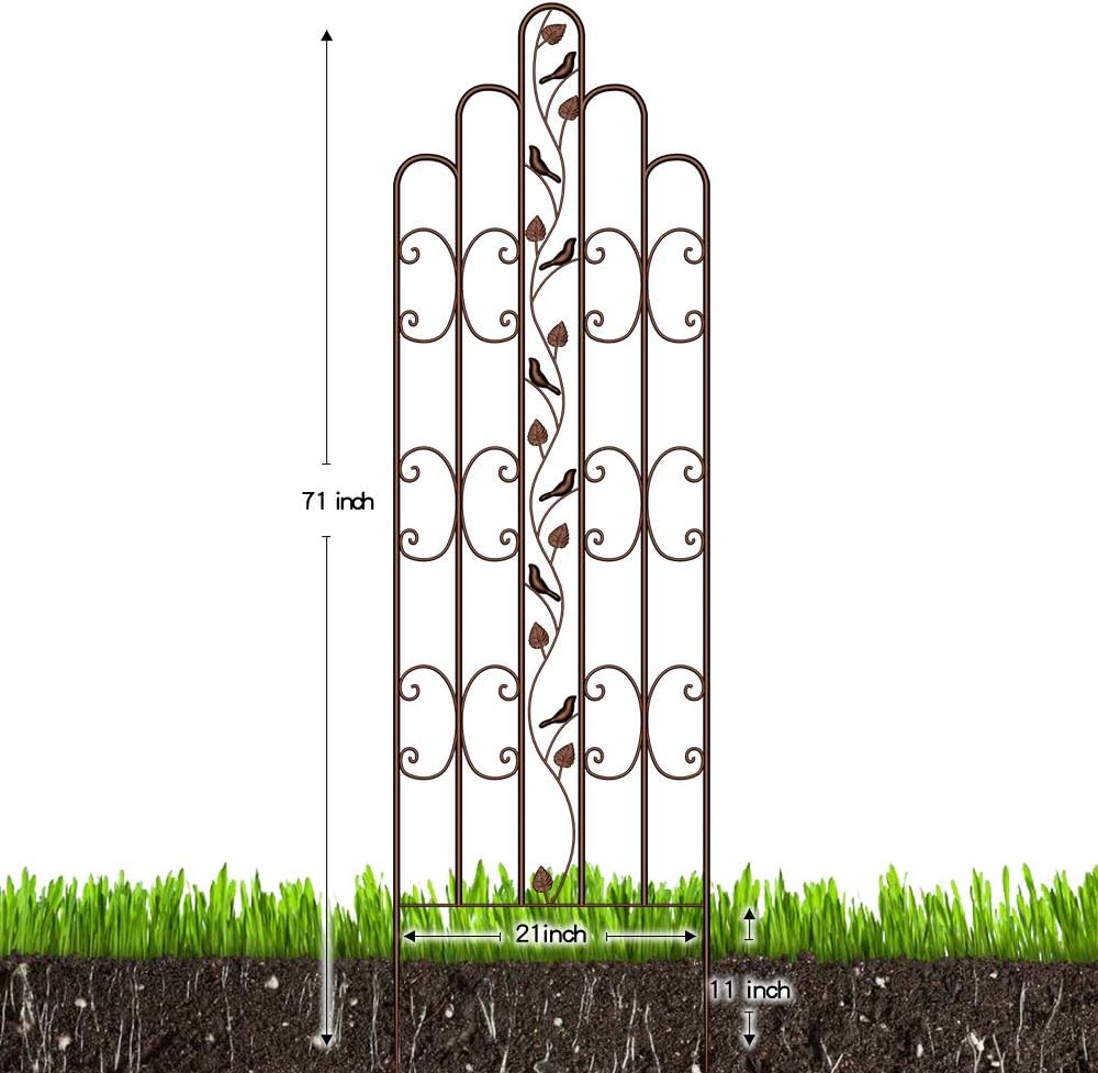 Amagabeli 2 Pack Large Garden Trellis for Climbing Plants 75” x 31” Heavy Duty Rustproof Black Iron Plant Trellis for Potted Plants Support Tall Wall Metal Trellis for Rose Vegetables Cucumber GT05