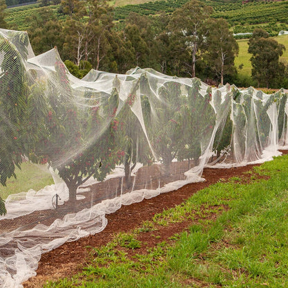 20 x 25 ft Mosquito Netting Garden Netting for Raised Beds Plant