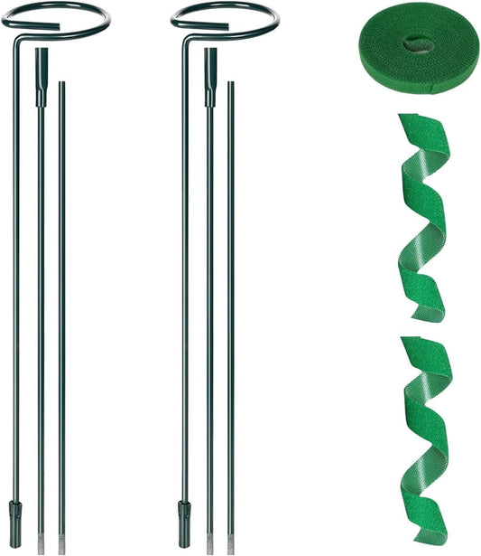 2 Pack Plant Support Sticks, 3 Sizes (12 or 24 or 36 inch) Garden Plant Stake, Plant Support Rings for Indoor Outdoor with Plants Ties, Plants Stakes for Flowers, Climbing Plants, Orchid