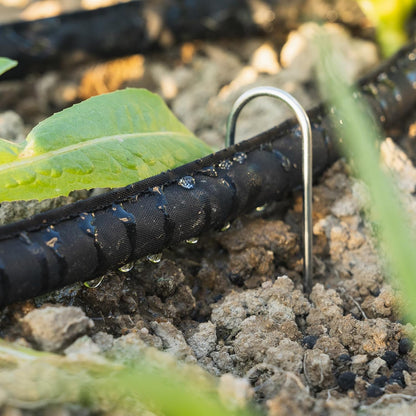 Flat Soaker Hoses 50 ft Save 70% Water, Leakproof Design Double Layer Drip Sprinkler Hose for Garden Bed