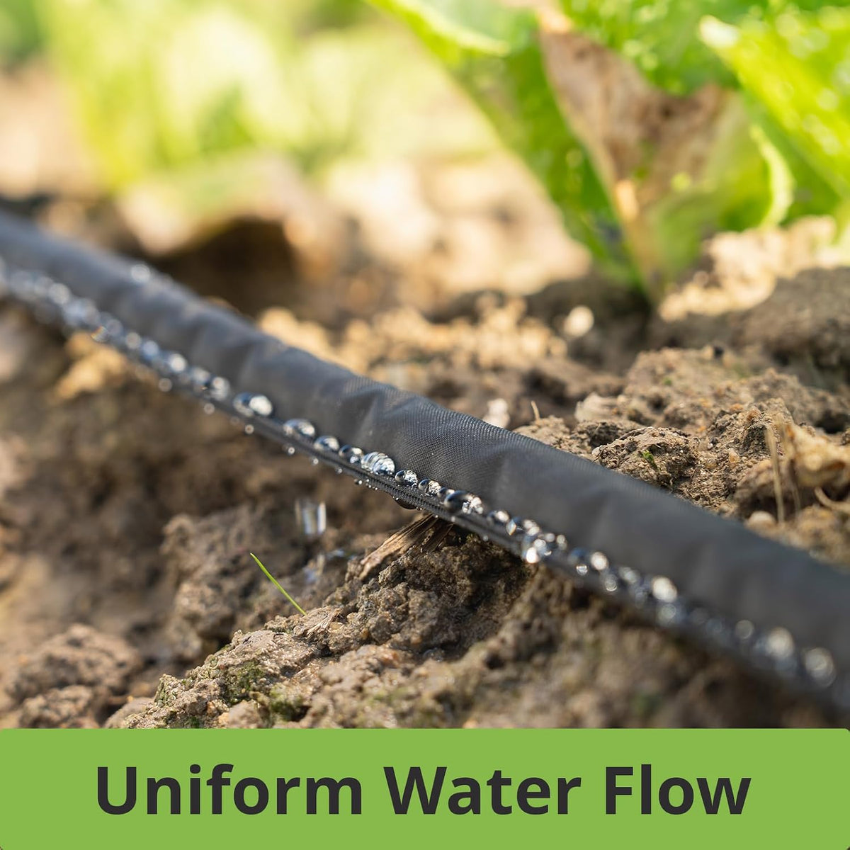 Flat Soaker Hoses 50 ft Save 70% Water, Leakproof Design Double Layer Drip Sprinkler Hose for Garden Bed