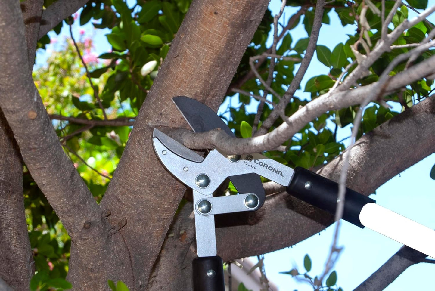 Compound Action Anvil Lopper – 32-Inch Heavy-Duty Branch Cutter for Tree Trimming & Pruning, Garden Loppers for Thick Branches