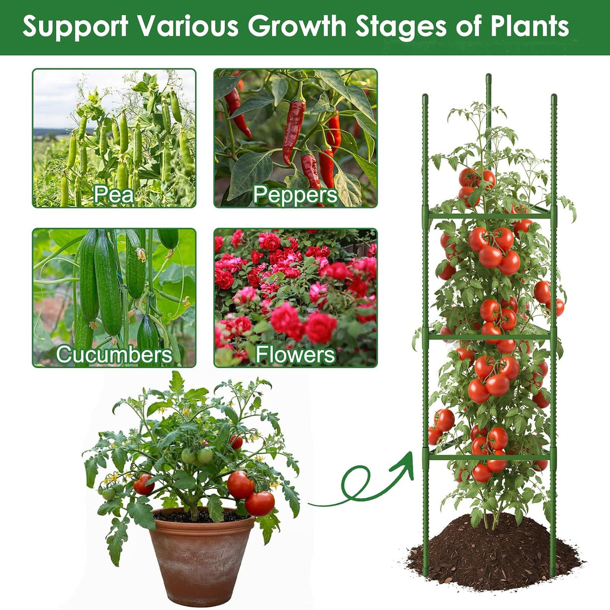 6 Pack Tomato Cage, 51.2 Inch Tall Adjustable Tomato Trellis