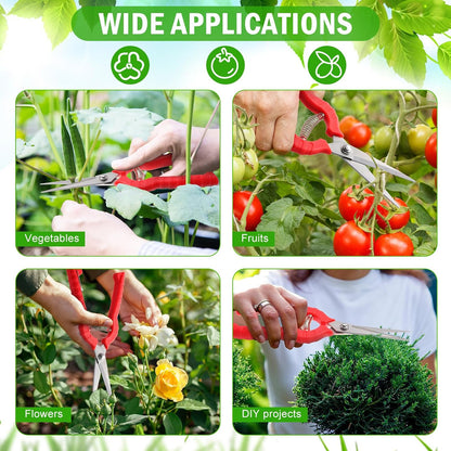 12 Pcs Needle Nose Pruner Bulk 8.3"" Extra Long Edge Stainless Steel Pruning Shears Hand Pruning Snips Fruit Trees Bonsai Garden Scissors Tool, Red, HIU- -1222